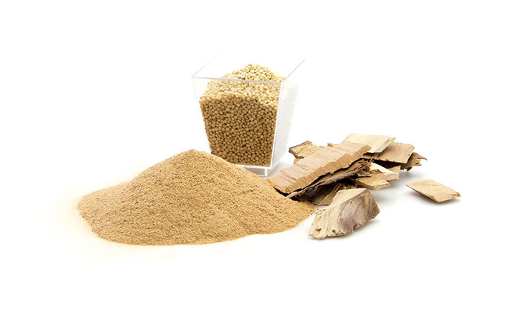 Fuhai Biotech (Trung Quốc) thử nghiệm thức ăn peptide đậu nành thay thế bột cá 