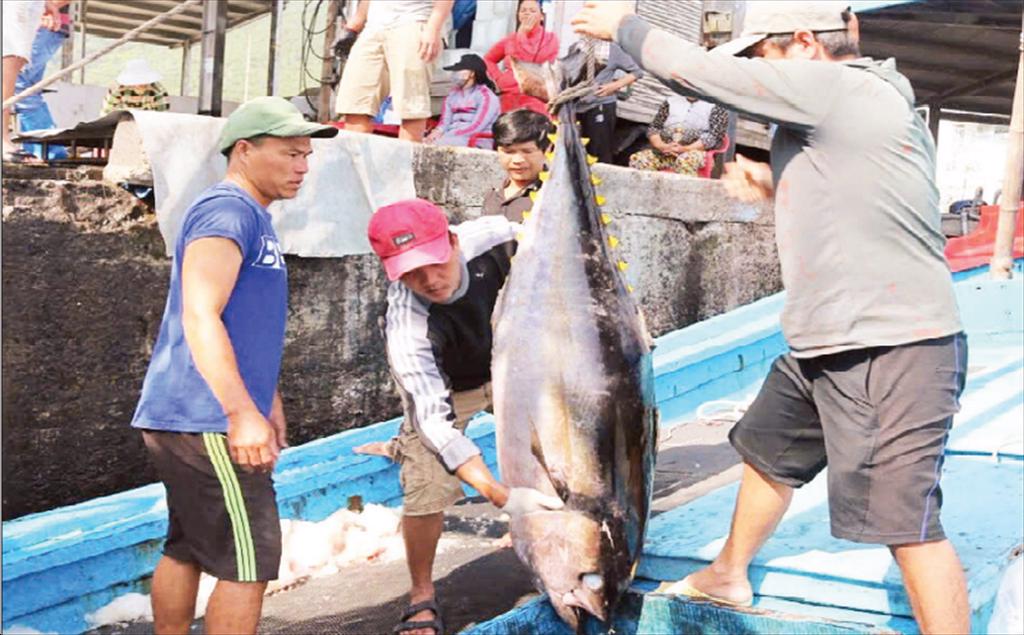 Bình Định tăng cường kiểm soát chất lượng thủy sản