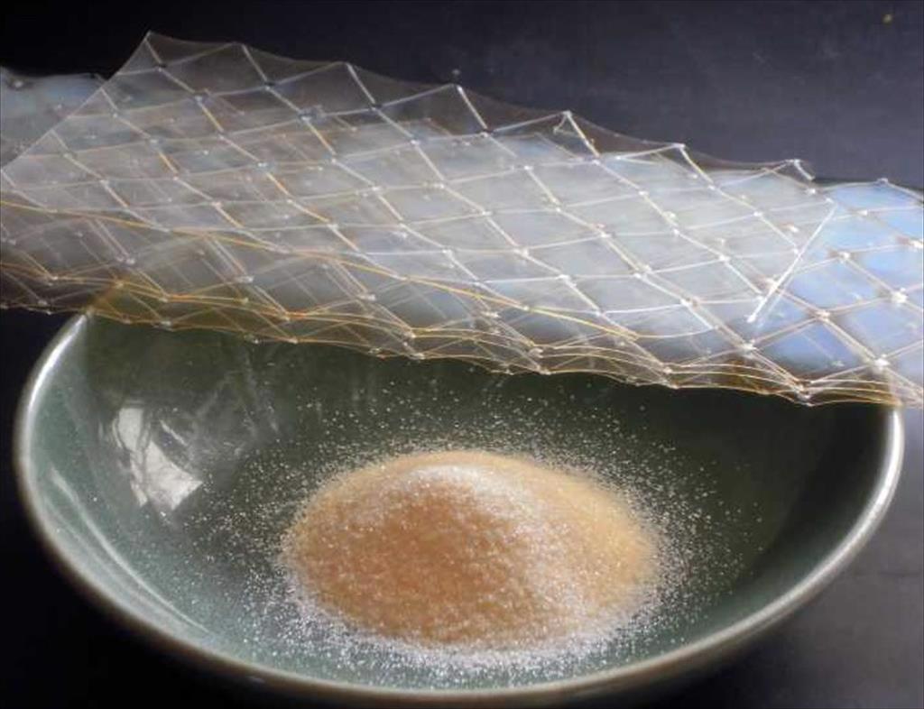 Turning agricultural by-products into a key export sector