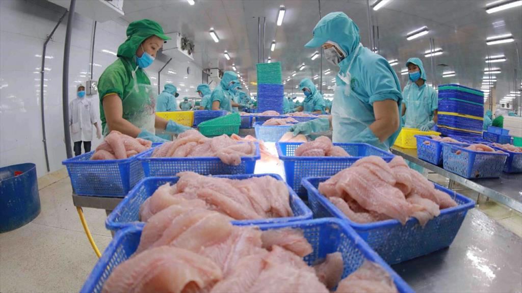 Nam Viet Corporation (AVN) expects sixfold profit growth amid soaring orders