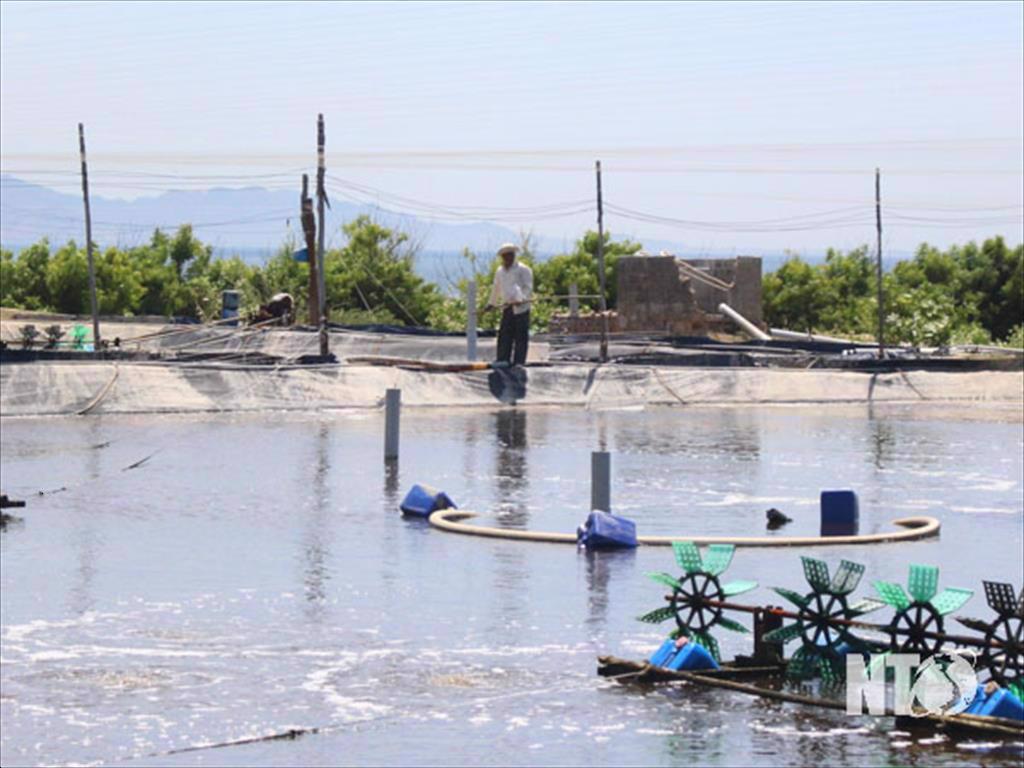 Ninh Thuan Aquaculture continues to develop