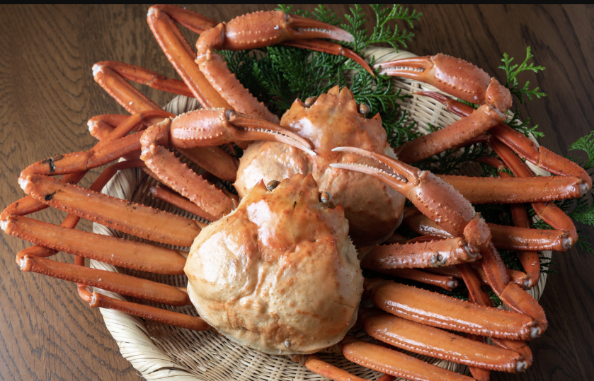 Thị trường cua tuyết toàn cầu Canada dẫn đầu, Na Uy Và Nga tăng tốc xuất khẩu