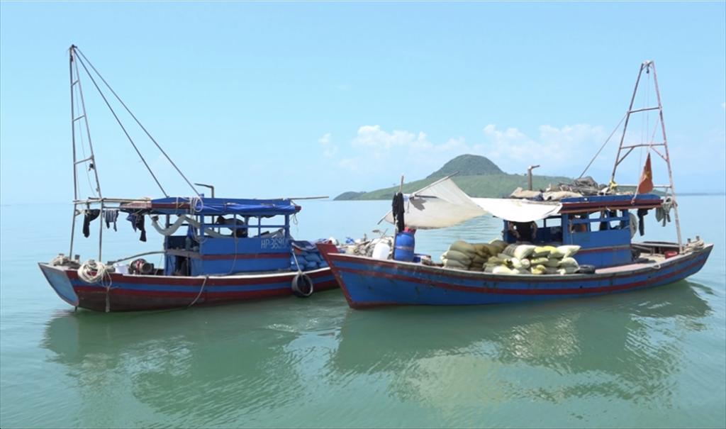 Kiên Giang Sản lượng khai thác thủy sản đạt 170 nghìn tấn