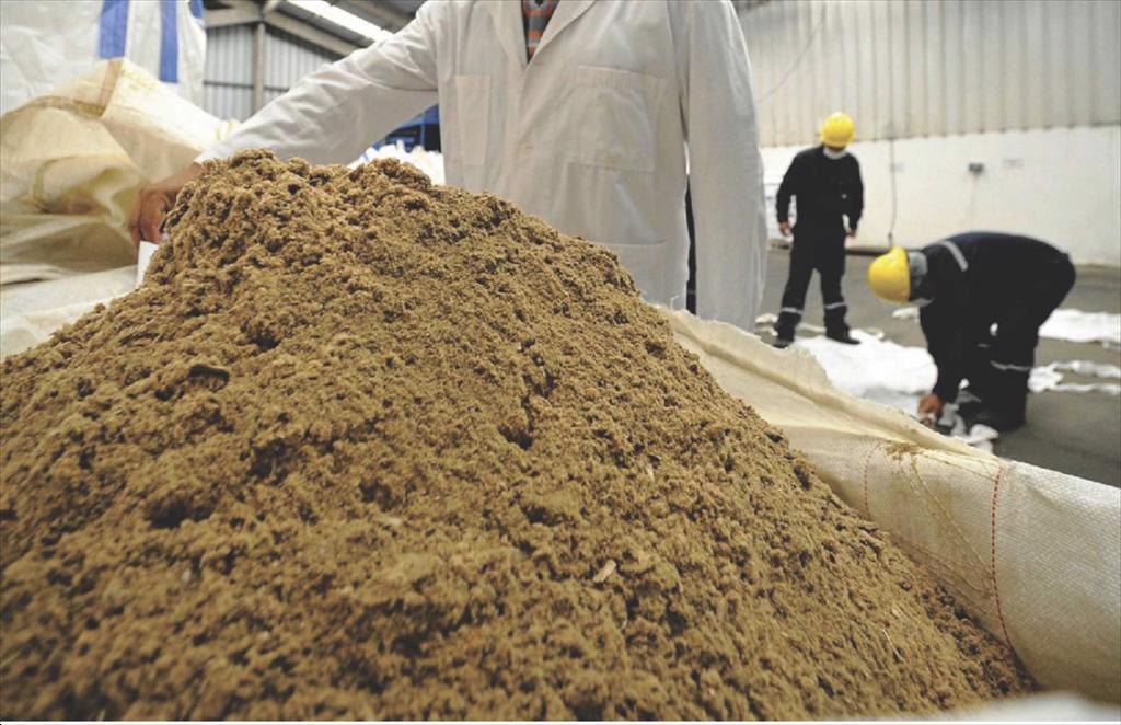 Giá bột cá Trung Quốc tăng do sản lượng khai thác của Peru dự kiến giảm