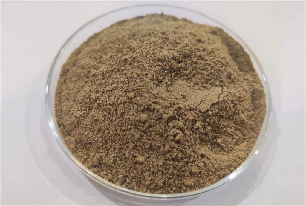 Côn trùng và vi tảo – giải pháp bền vững cho ngành thủy sản thoát khỏi lệ thuộc vào bột cá