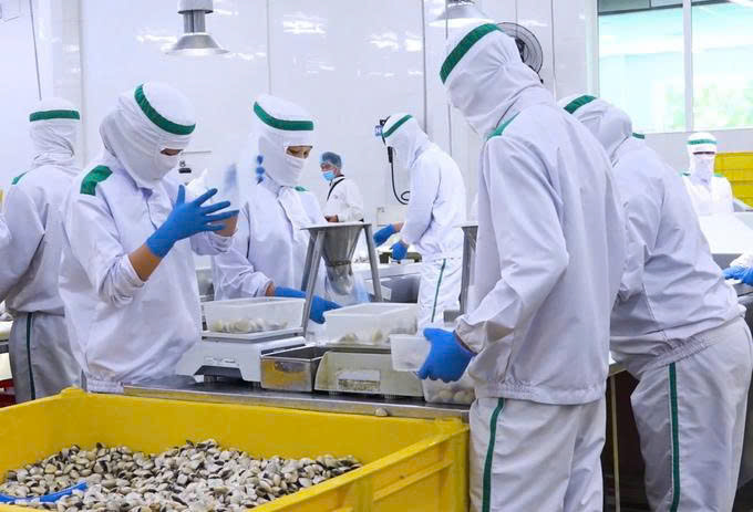 Hiện trạng sản xuất nhuyễn thể ở Việt Nam Tiềm năng lớn, thách thức không nhỏ