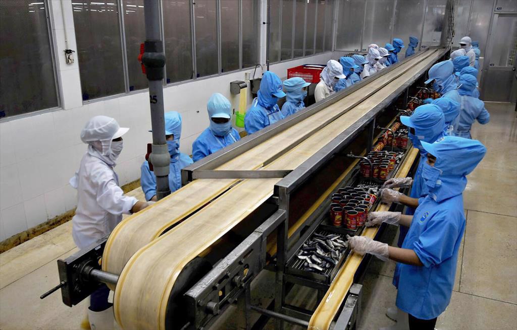 KTCFOOD tham gia Quỹ Phát triển Bền vững Hải sản Quốc tế