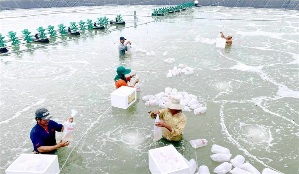 Tra Vinh Aquatic product output reaches over 101,500 tons