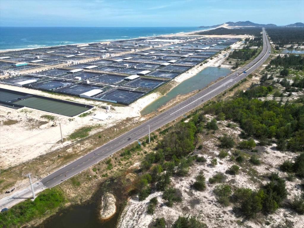 AI đọc ao tôm, tăng năng suất