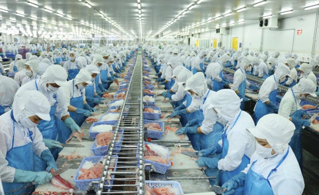 Vĩnh Hoàn đổi mới và đẩy mạnh đa dạng hóa trước thách thức thuế quan