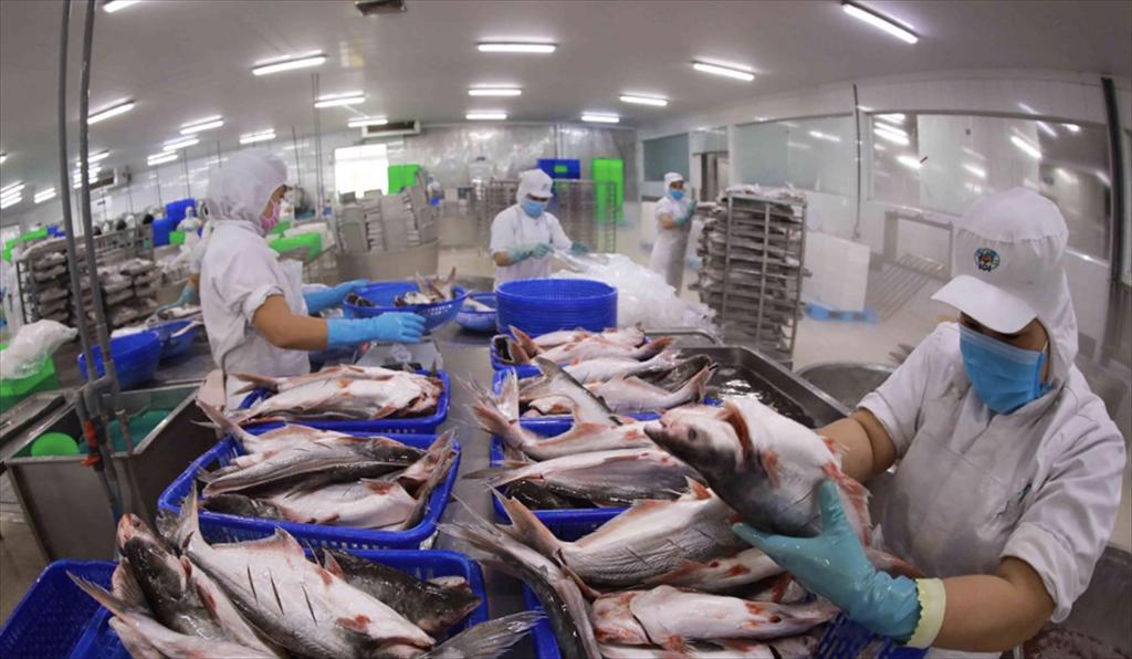 Châu Á giữ vai trò then chốt trong phát triển thủy sản bền vững toàn cầu