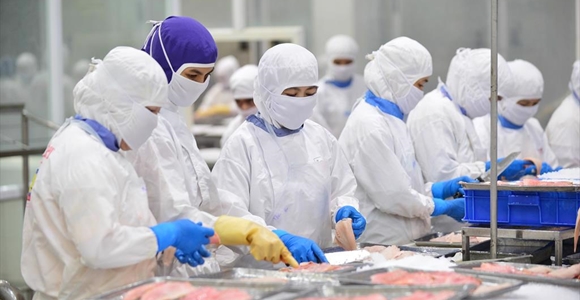 NAFIQPM thông báo về việc thay đổi địa chỉ của doanh nghiệp sau khi có thay đổi địa giới hành chính