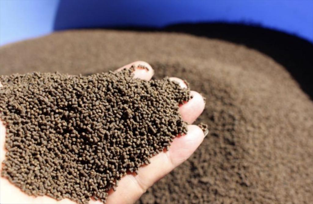 Nga đặt mục tiêu tự chủ 90% thức ăn thủy sản vào 2030 với loạt nhà máy mới