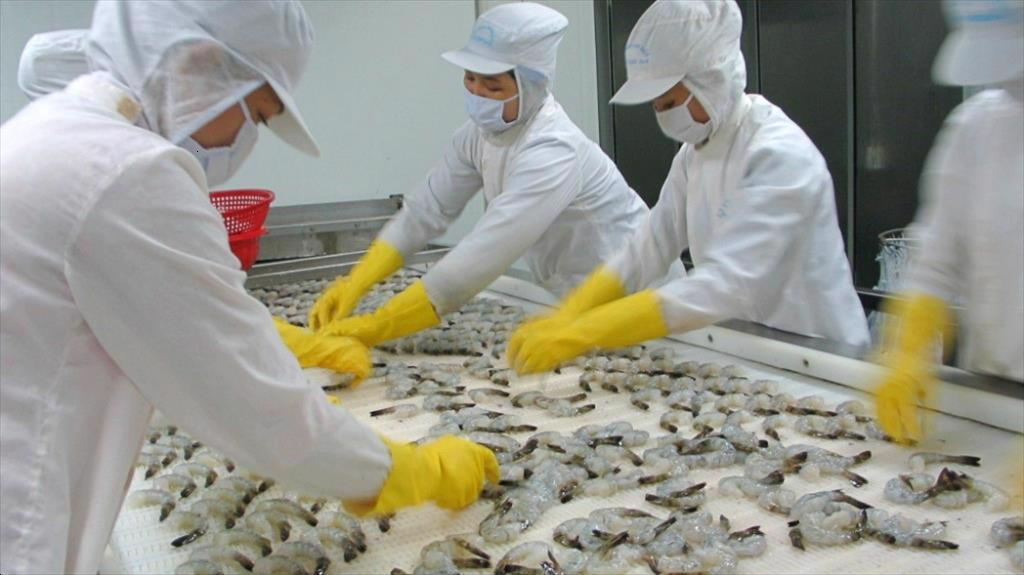 Thực phẩm Sao Ta (FMC) Doanh thu nửa đầu năm tăng 43%, giá thành sẽ giảm trong thời gian tới