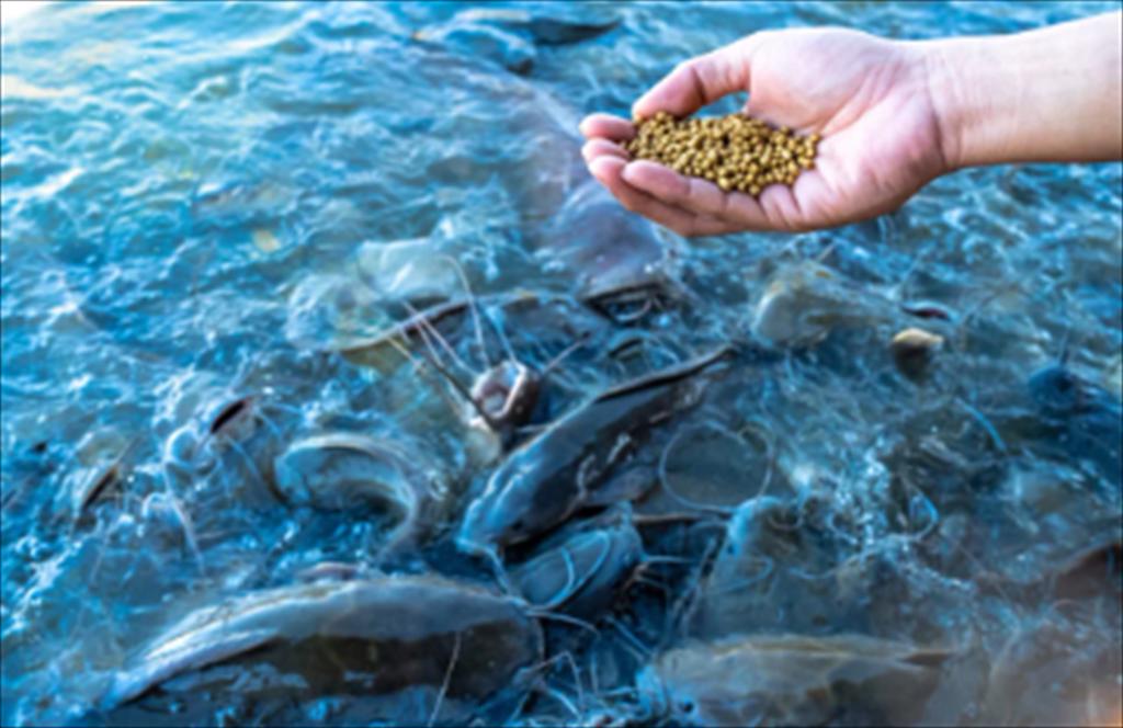 De Heus đưa vào vận hành nhà máy thức ăn thủy sản tại Uganda