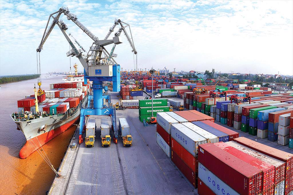 Thủy sản Việt đối mặt thách thức kép chi phí logistics tăng và áp lực giảm phát thải carbon