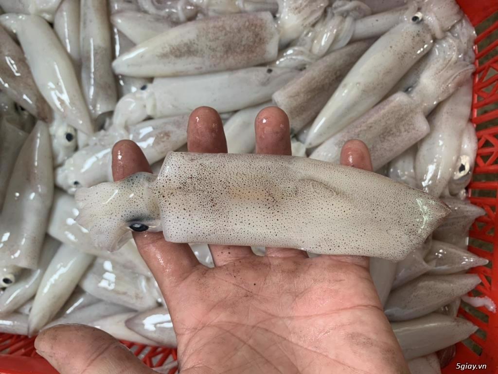 Giá mực khơi Trung Quốc tăng mạnh do nguồn cung toàn cầu biến động 