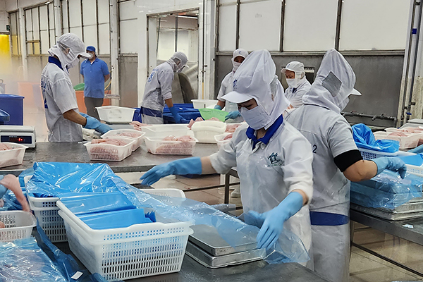 VASEP kiến nghị Bộ Tư pháp gỡ vướng quy định pháp luật cho doanh nghiệp thủy sản 