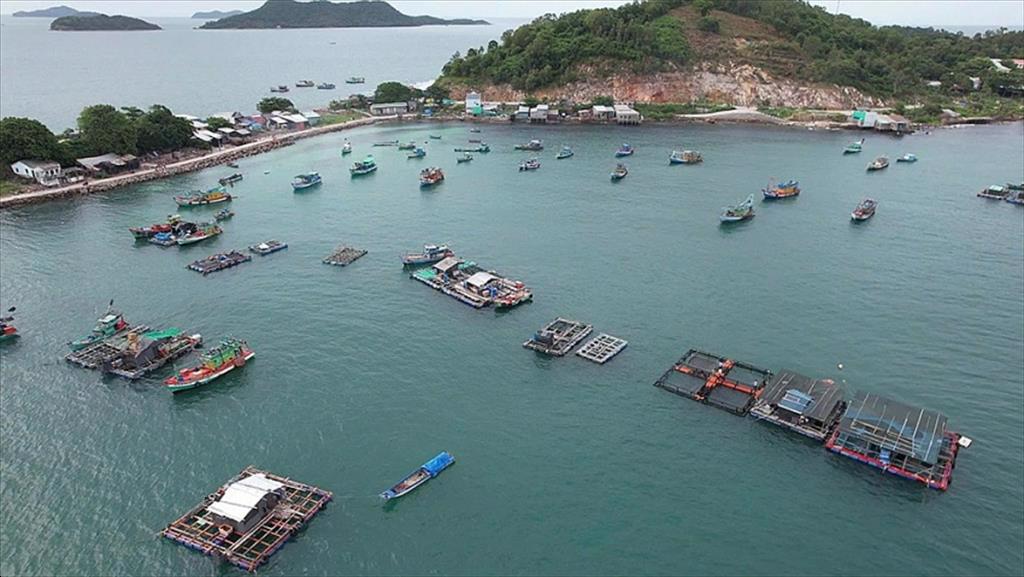 An Giang Nuôi biển trở thành trụ cột kinh tế xanh