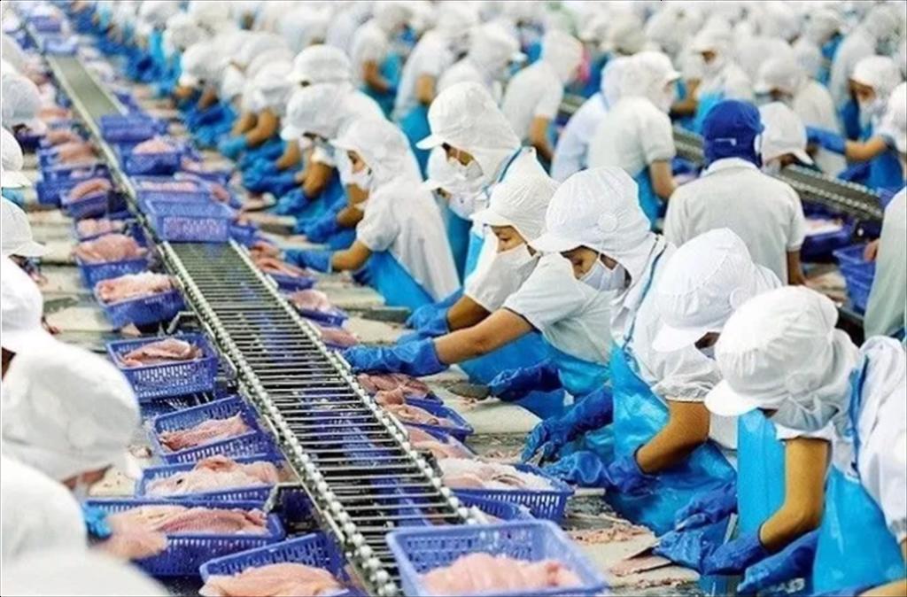 Vì sao thủy sản đủ tiêu chuẩn EU nhưng lại khó tiêu thụ tại thị trường nội địa