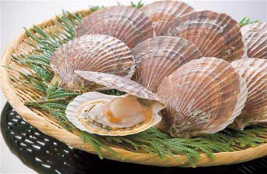 Lượng cập cảng sò điệp của Hoa Kỳ giảm