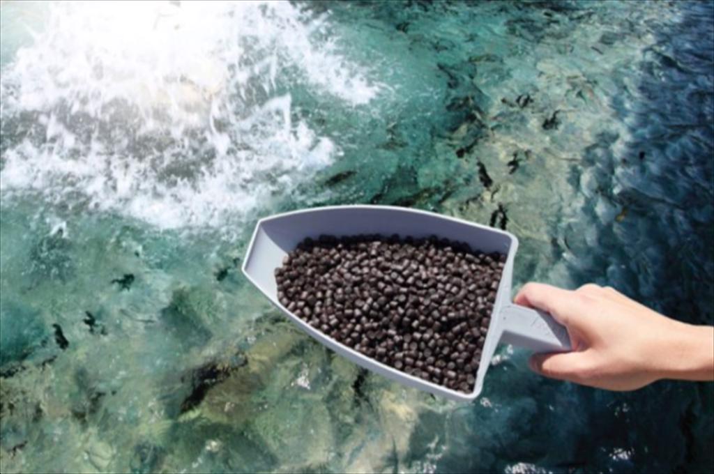 Nga đẩy mạnh sản xuất thức ăn thủy sản trong nước