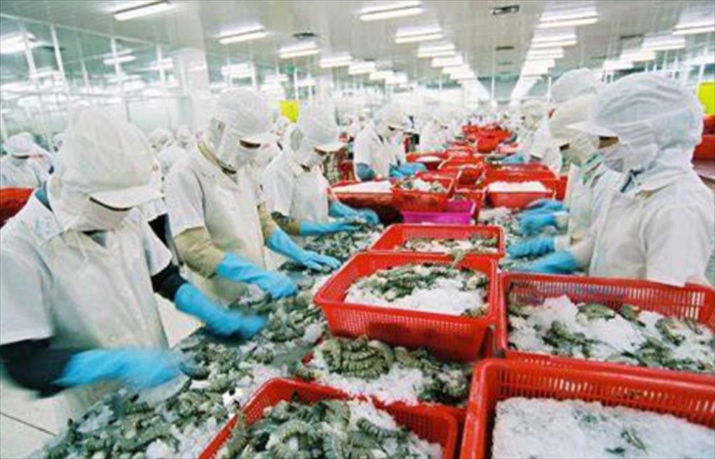 Trung Quốc nới lỏng lệnh cấm, cho phép ba công ty thủy sản Nhật Bản xuất khẩu trở lại