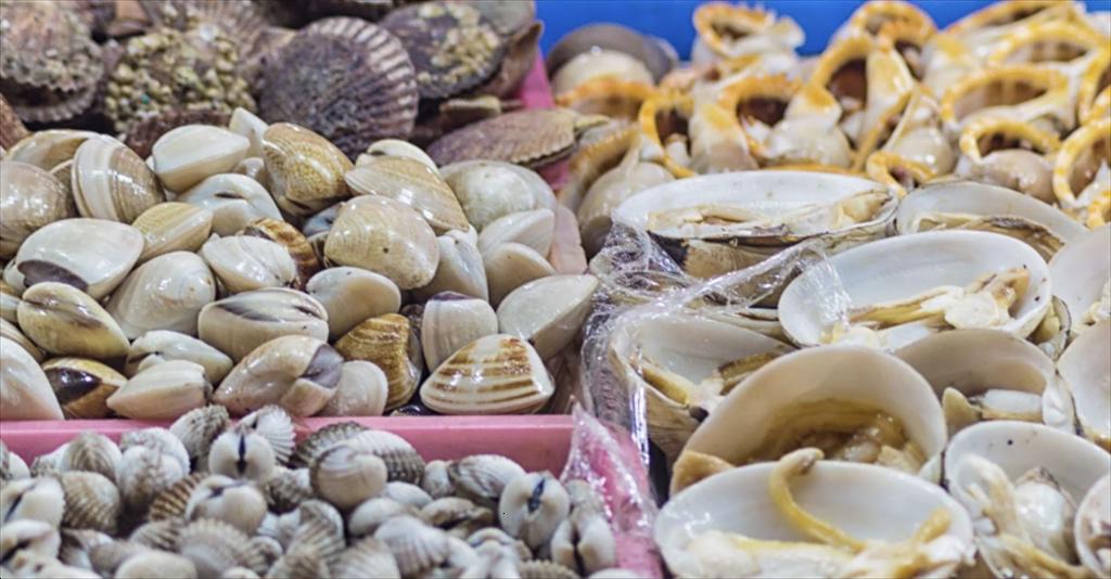 Fluctuating seafood prices, exports face pressure from technical barriers and tariffs