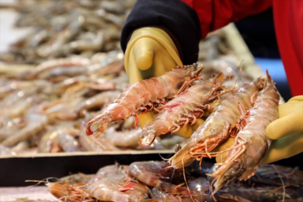 Ngành tôm châu Á đối mặt thách thức dịch bệnh và chi phí sản xuất leo thang