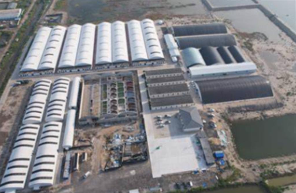 Chi phí nuôi tôm ở Trung Quốc giảm nhờ công nghệ tự động hóa