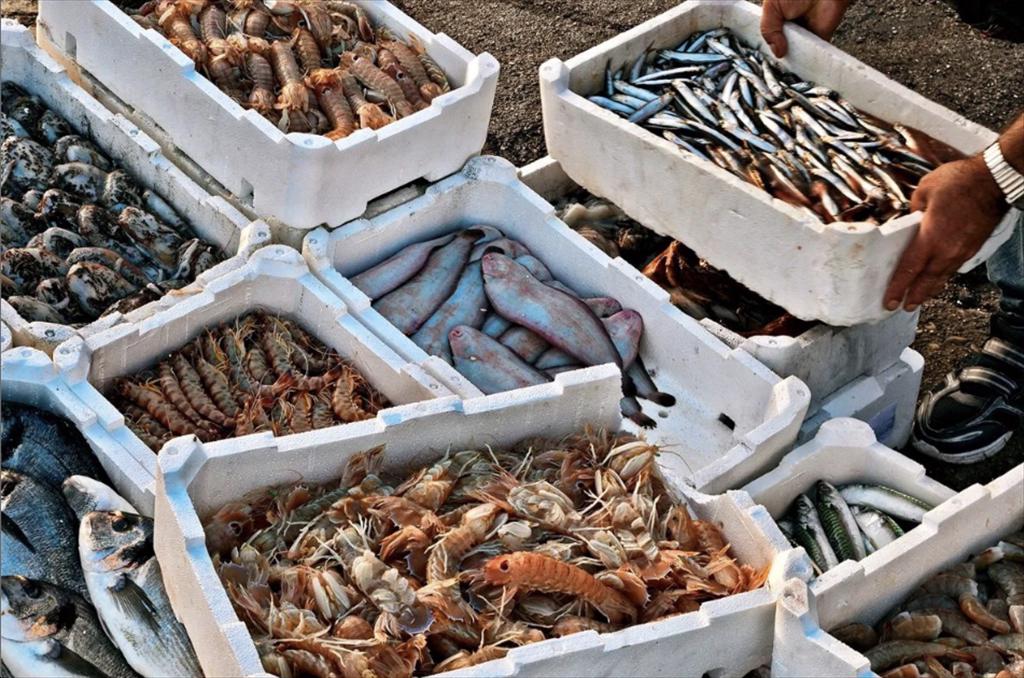 Myanmar đặt mục tiêu xuất khẩu thủy sản đạt 750 triệu đô la Mỹ vào năm 2025-2026