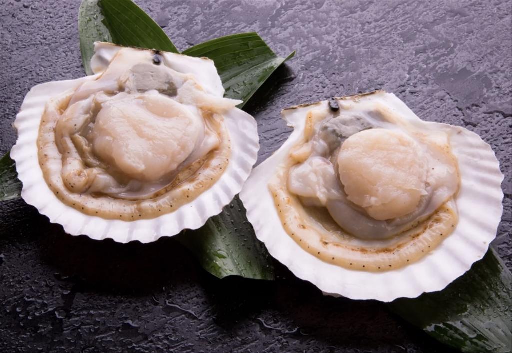 Nhật Bản Xuất khẩu sò điệp đông lạnh giảm do lo ngại thuế quan Mỹ