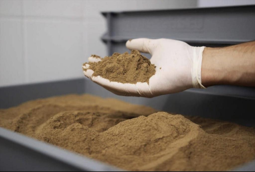 Xuất khẩu thủy sản Peru tăng vọt nhờ doanh thu từ bột cá