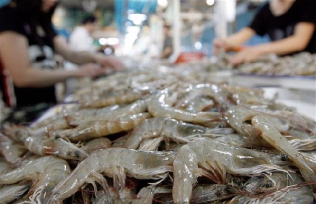 Nhập khẩu tôm nửa đầu năm 2025 của Trung Quốc tiếp tục giảm