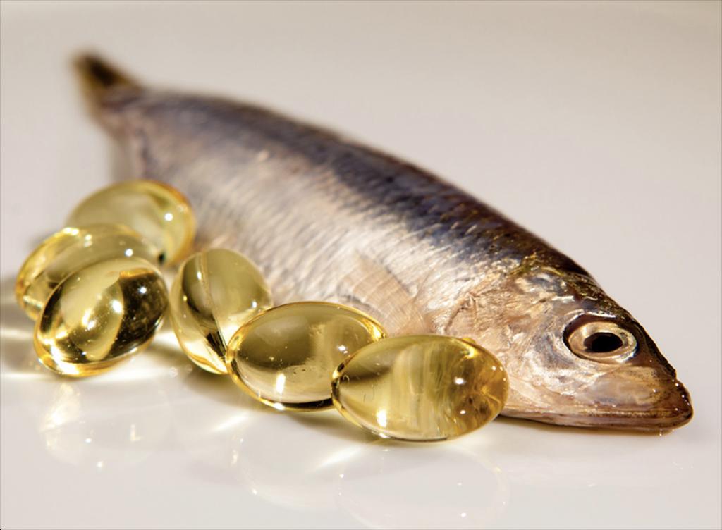 Sản lượng bột cá, dầu cá toàn cầu giảm nhẹ do Peru kết thúc sớm vụ khai thác