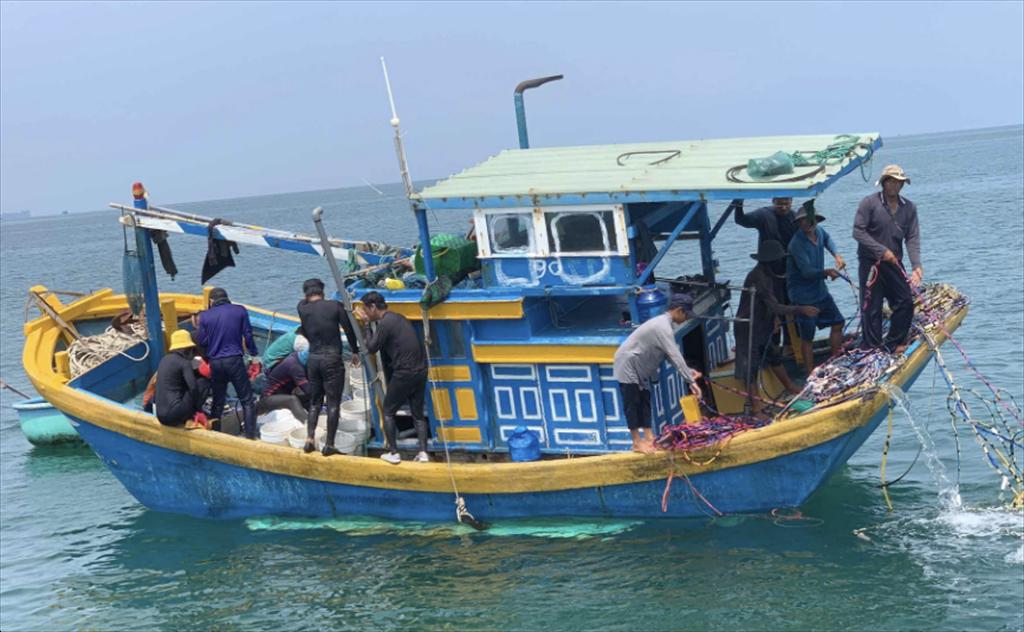 Ninh Bình thành lập Ban Chỉ đạo chống khai thác IUU, góp phần gỡ “thẻ vàng” thủy sản