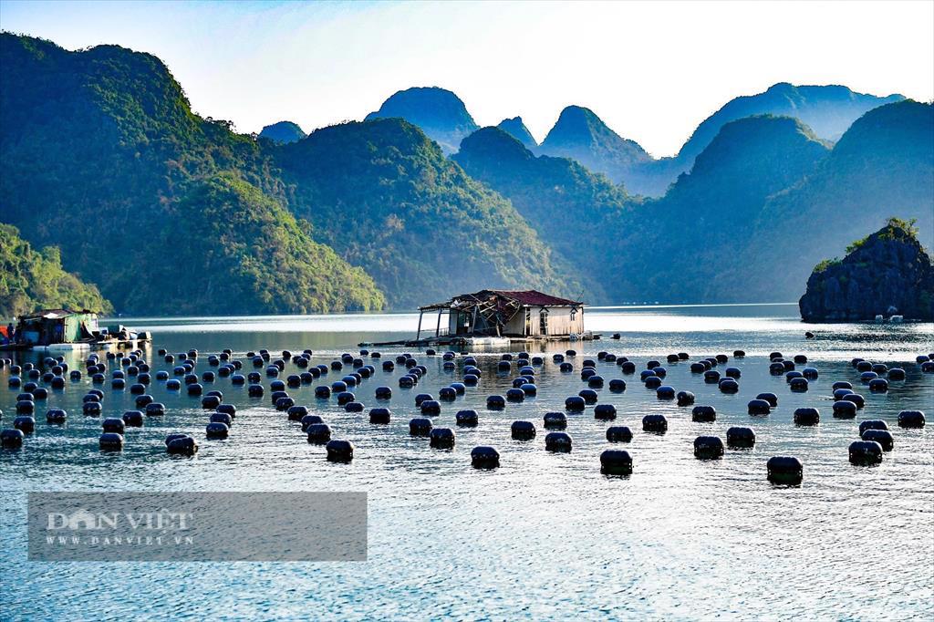 Quảng Ninh Tập huấn VietGAP–HACCP tại đặc khu Vân Đồn cho hơn 20 doanh nghiệp thủy sản