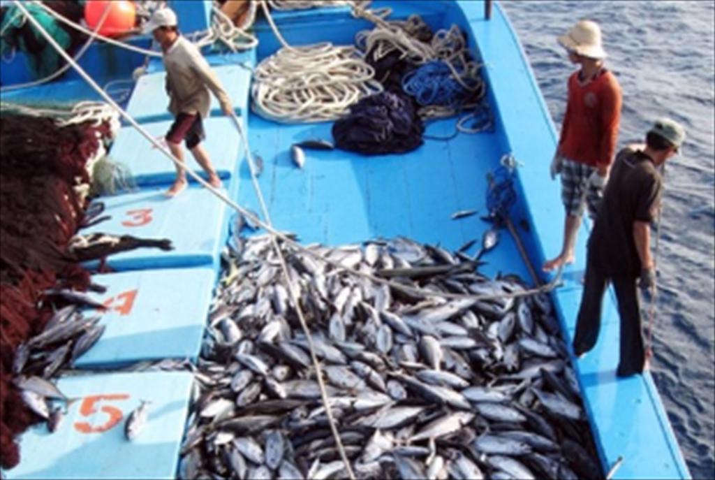 Mexico tăng cường trấn áp nạn đánh bắt bất hợp pháp