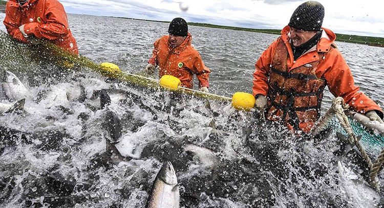 Nga Sản lượng thủy sản vẫn ổn định sau động đất