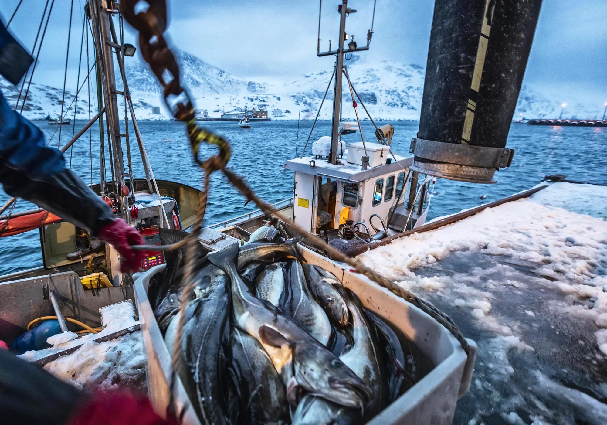 Quốc hội Hoa Kỳ thúc đẩy việc đưa nuôi trồng thủy sản vào các chương trình của USDA