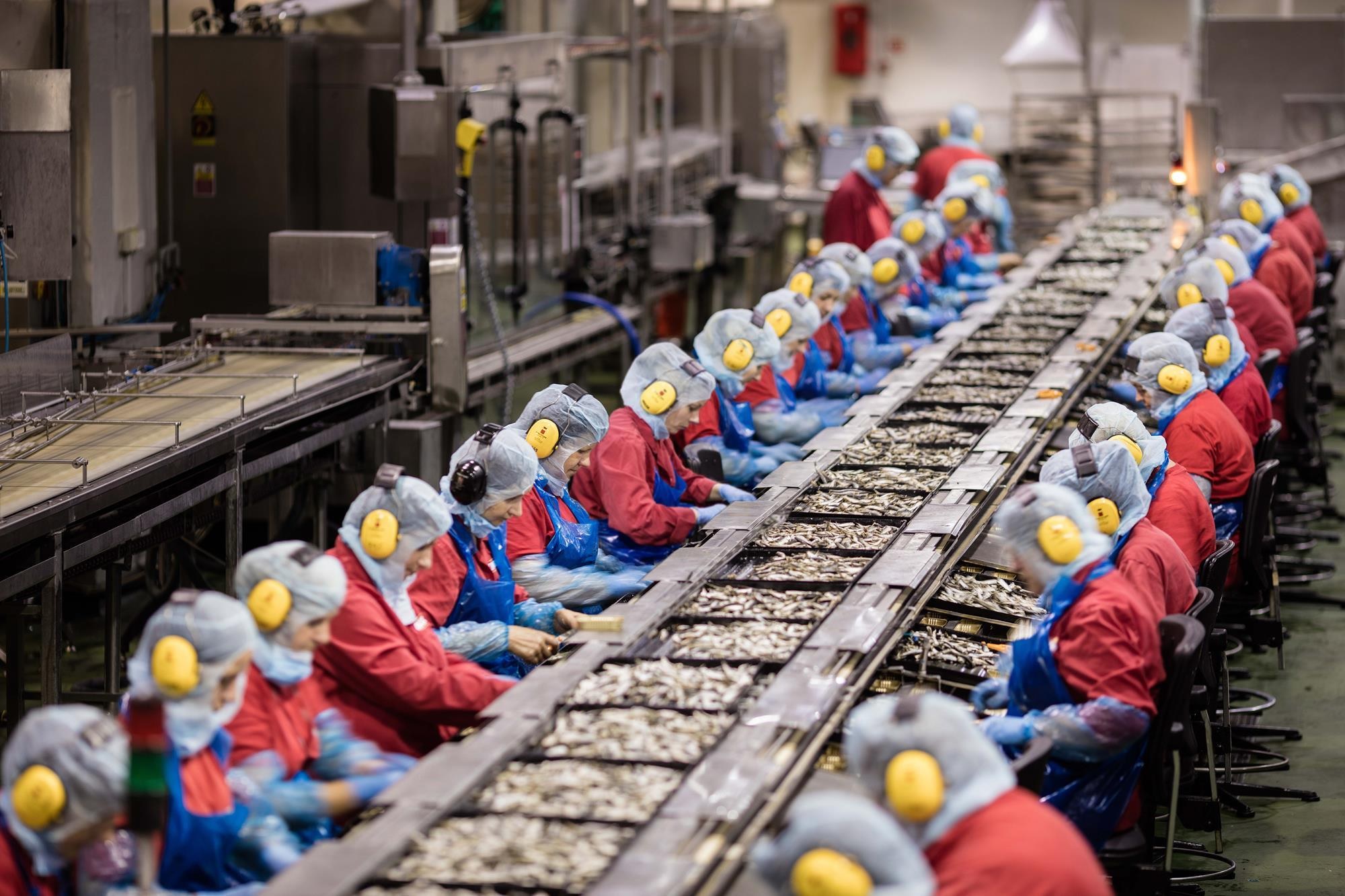 Thai Union đầu tư mạnh vào nâng cấp dây chuyền sản xuất thức ăn thủy sản