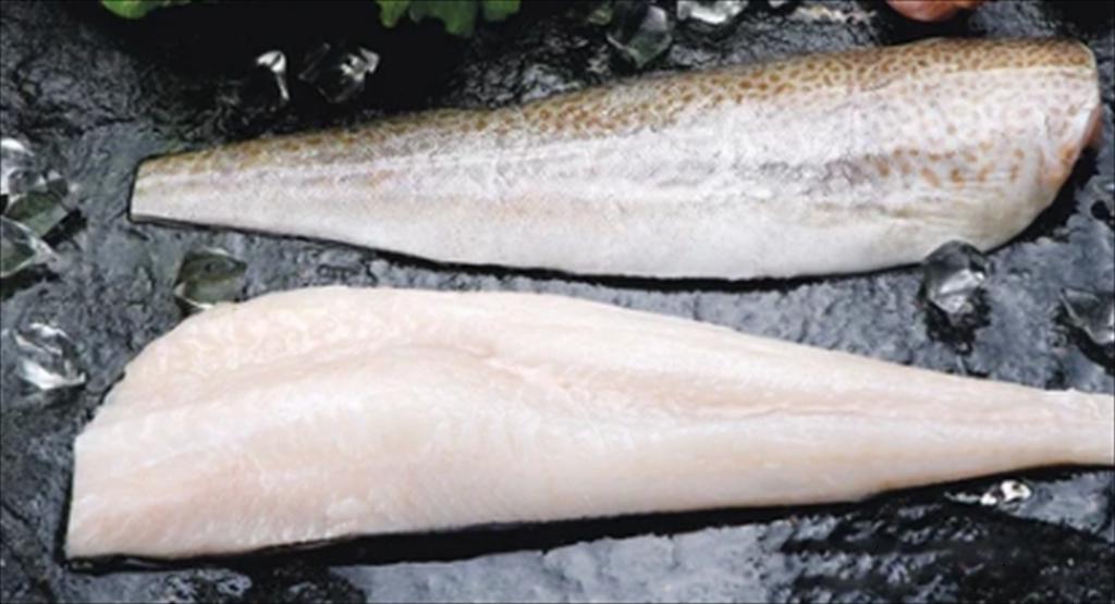 Giá cá tuyết Thái Bình Dương Mỹ tiếp tục tăng