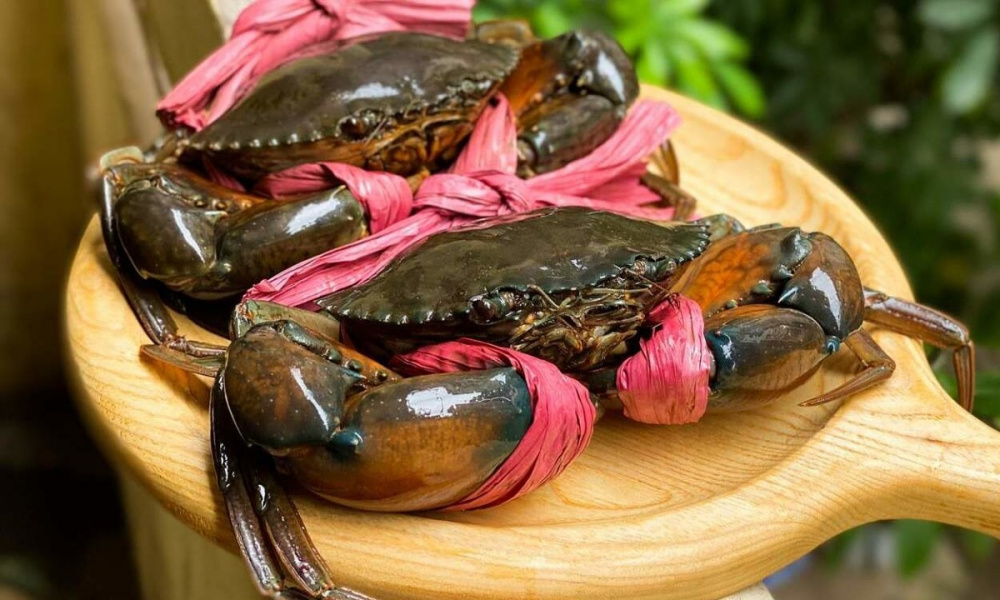 Xuất khẩu cua ghẹ Việt Nam lập đỉnh, tăng trưởng mạnh nhưng thiếu ổn định