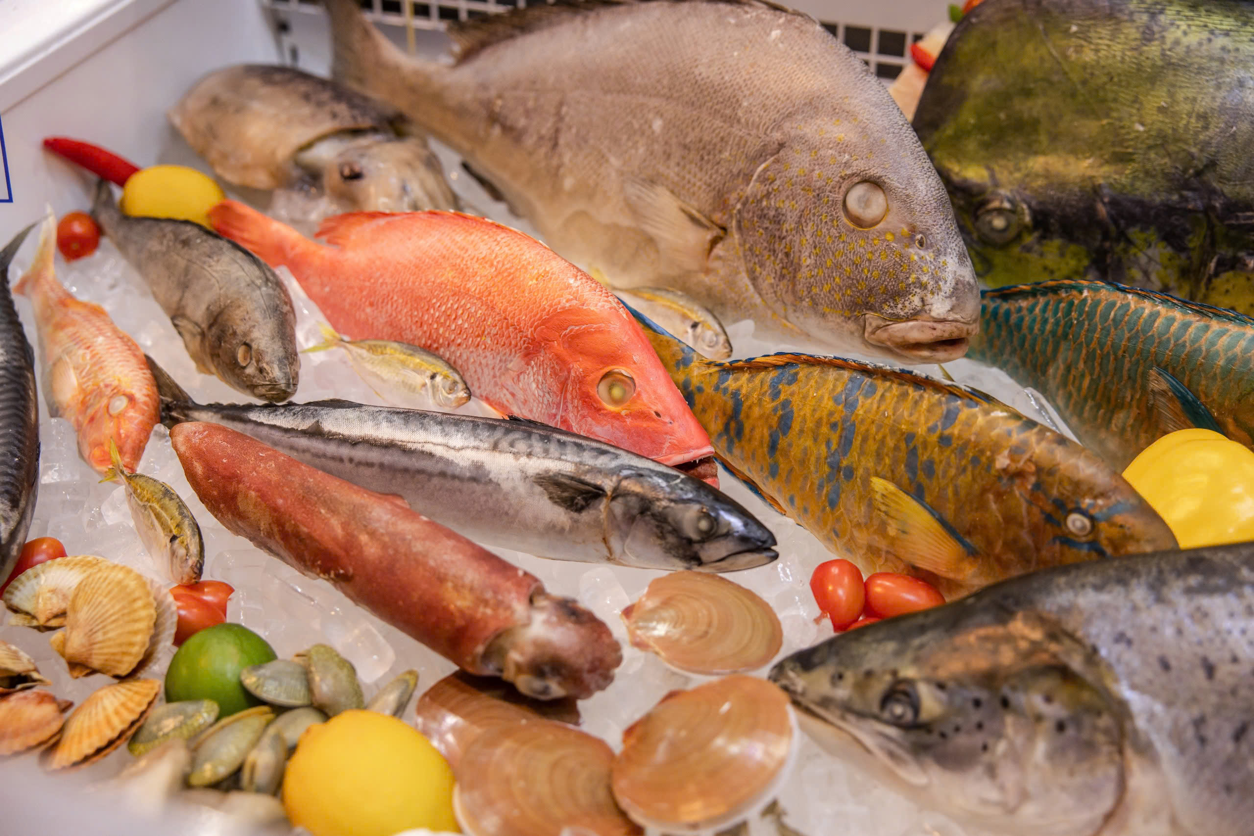 Chinh phục người tiêu dùng Việt – Tương lai mới của ngành thủy sản