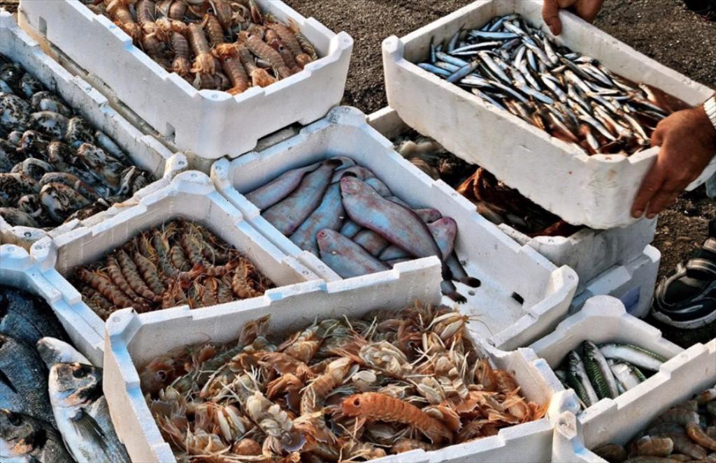 Xuất khẩu thủy sản của Myanmar giảm 9% trong quý đầu năm tài chính 2025