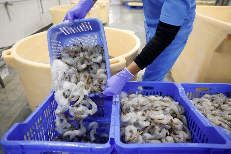 Giá bán buôn tôm tại Mỹ tăng trong tuần giữa tháng 82025