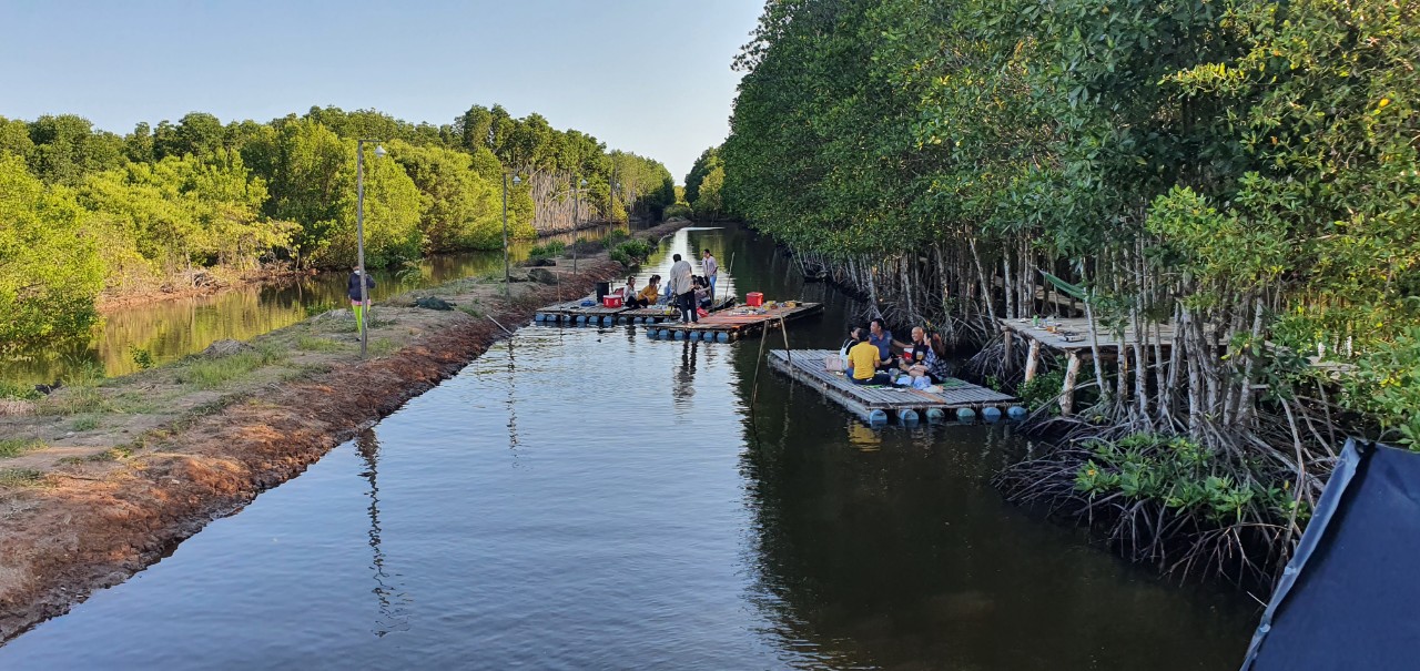 Mô hình nuôi tôm – rừng Giải pháp bền vững thích ứng biến đổi khí hậu