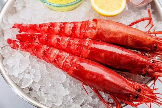 Tây Ban Nha tăng hạn mức đánh bắt tôm đỏ Địa Trung Hải năm 2025