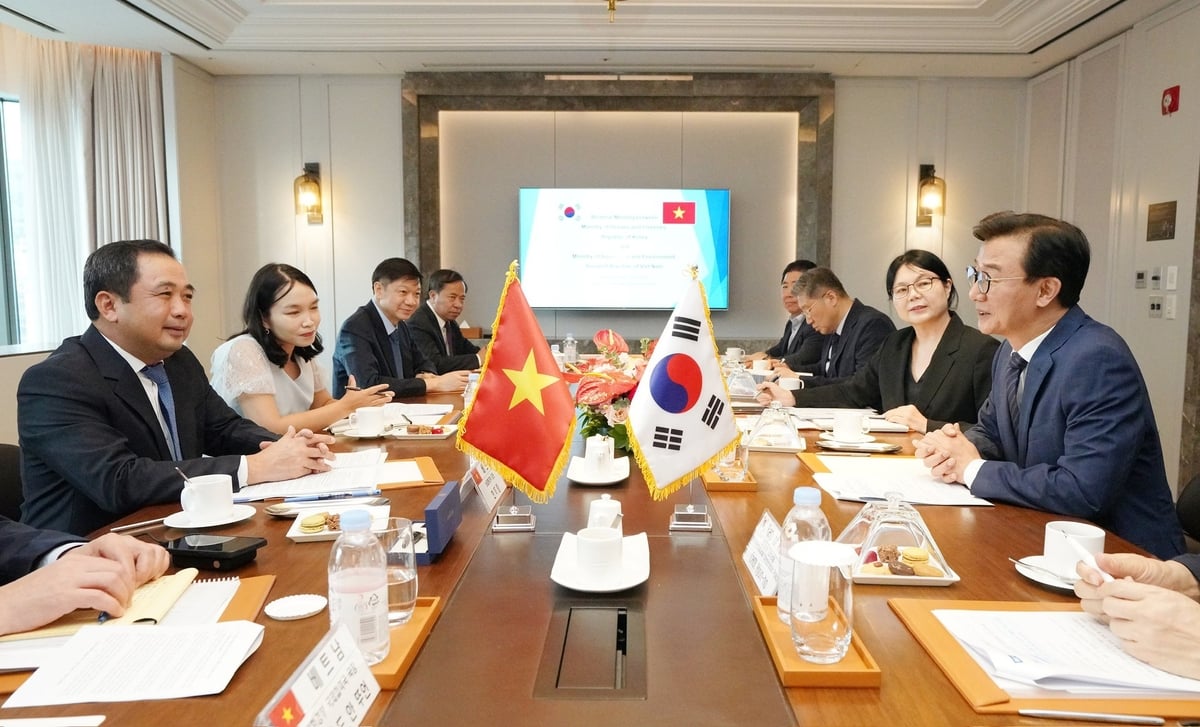 Vietnam - South Korea promote sustainable fisheries development