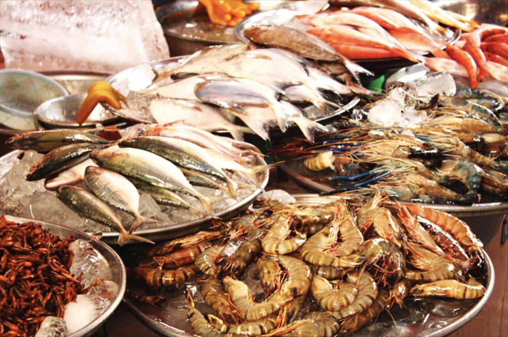 Thị trường thủy sản Ả Rập Xê Út Tăng trưởng ổn định nhờ công nghệ và chính sách quốc gia